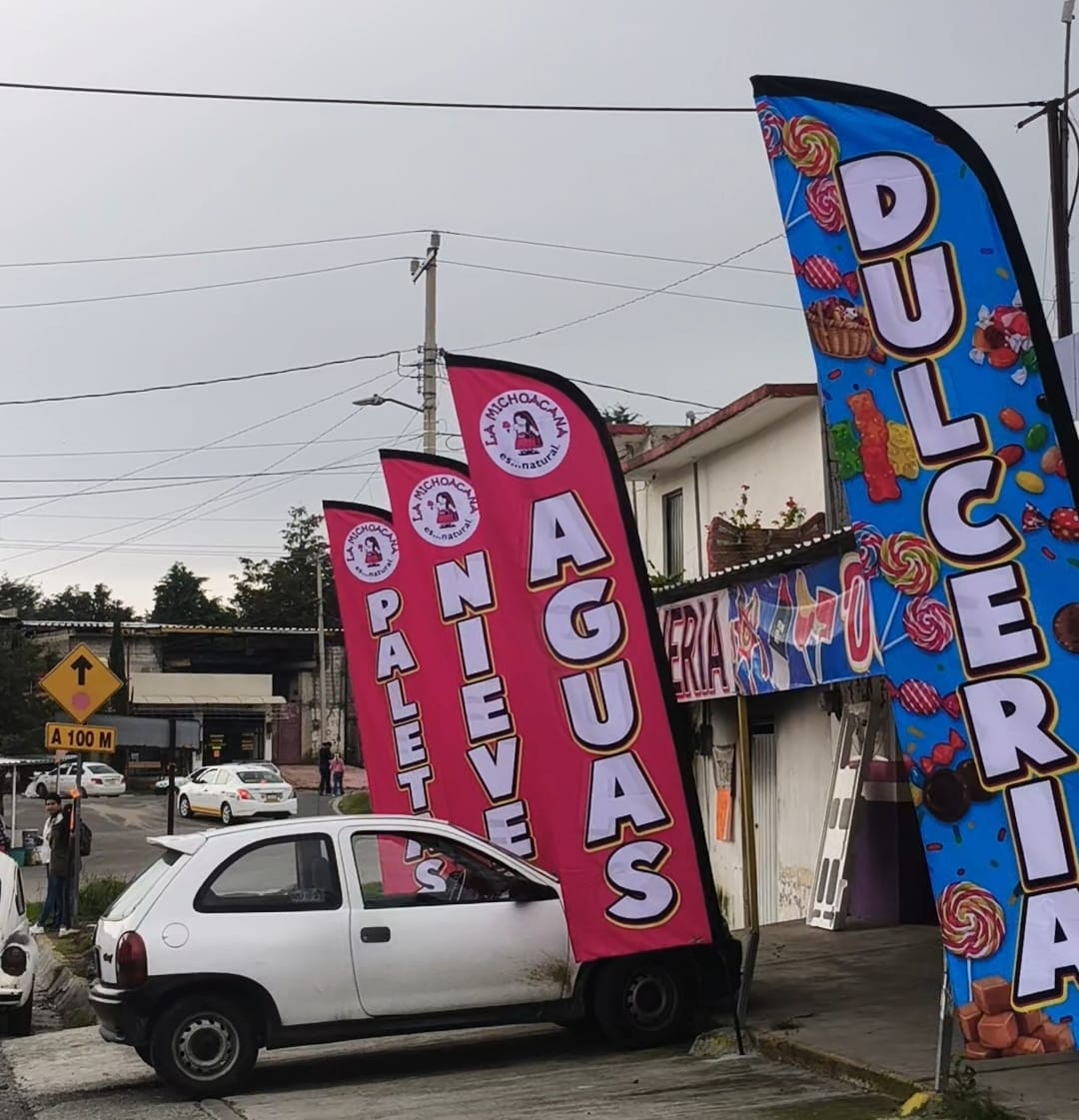 Bandera Publicitaria Personalizada 3.15 m - Image 3
